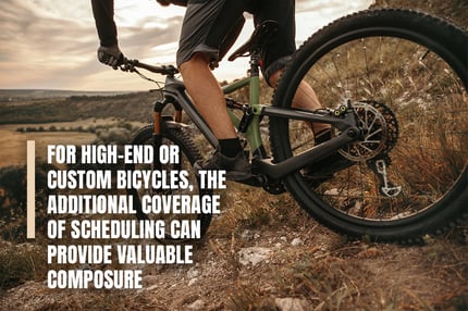 For high-end bicycles scheduling can provide valuable composure Infographic