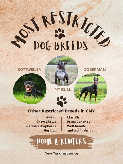 Most restricted dog breeds in Central New York home and renters insurance