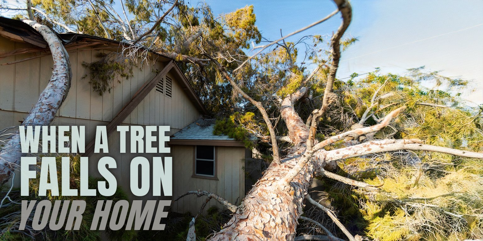 When a tree falls on your home - a Central New York homeowner's guide to insurance coverage