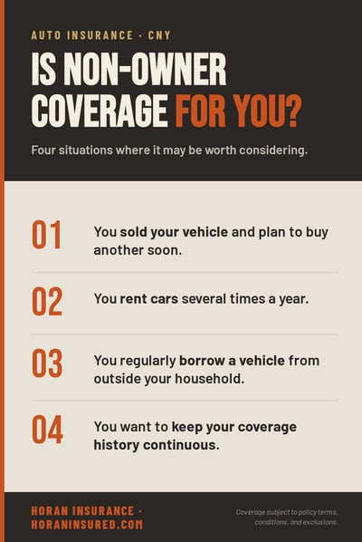 non-owner-infographic-preview